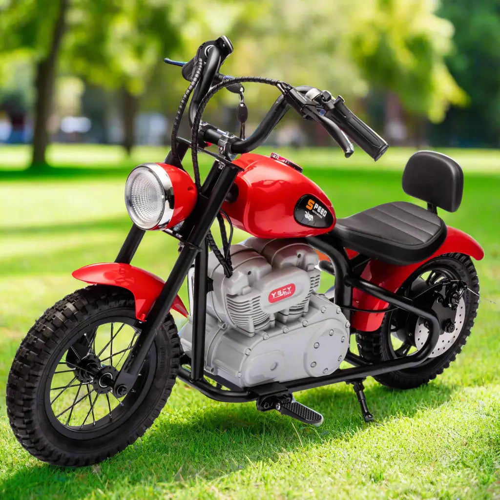 36V E-Chopper, Leather Seat, Rubber Air Wheels, Brushless Motor, 1 Seater