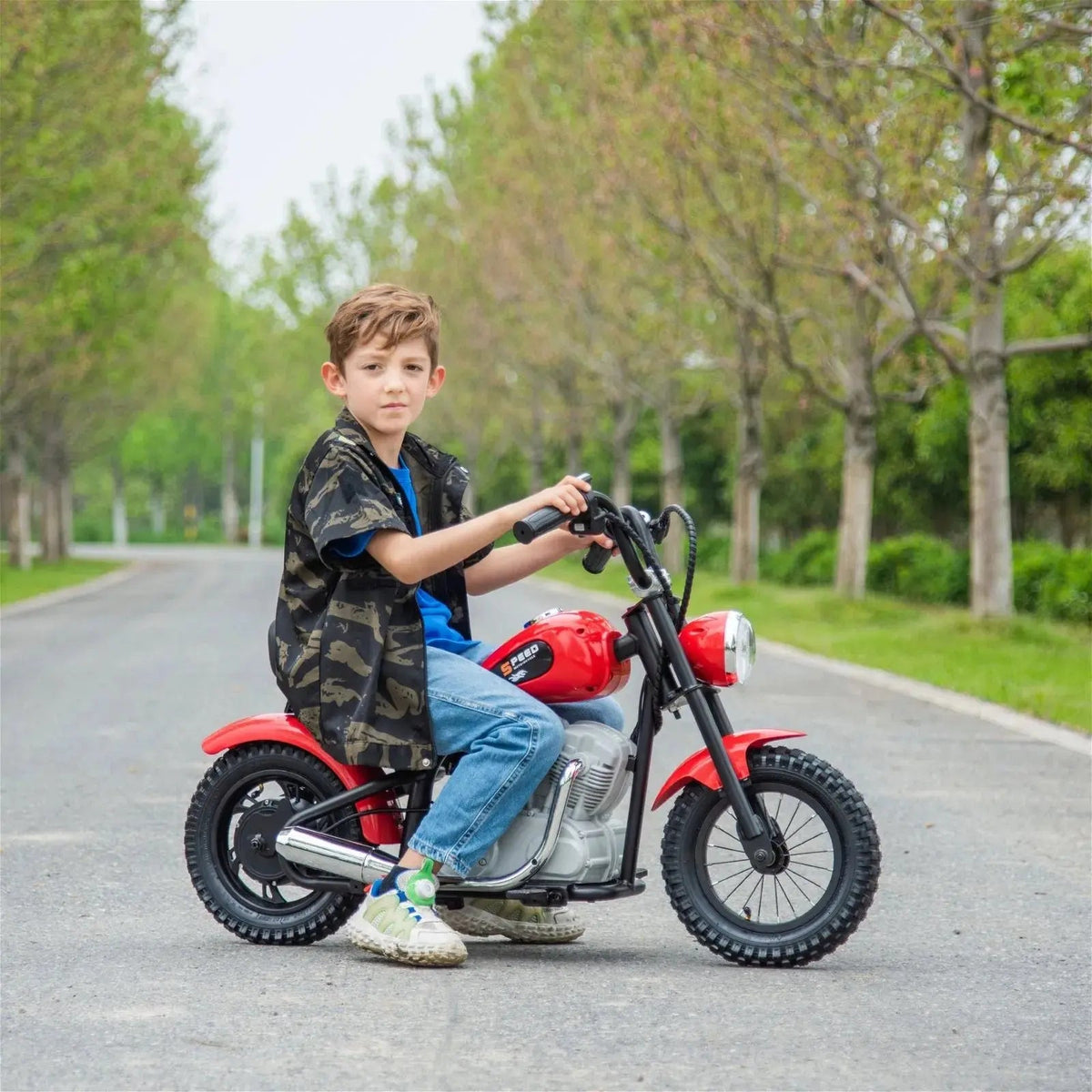 36V E-Chopper, Leather Seat, Rubber Air Wheels, Brushless Motor, 1 Seater