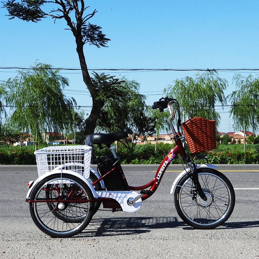 350W 48V Adult 3 Wheel Electric Tricycle, Cargo E-Bike with Basket, 20 Inch, 40km Range Descriptionimages_07