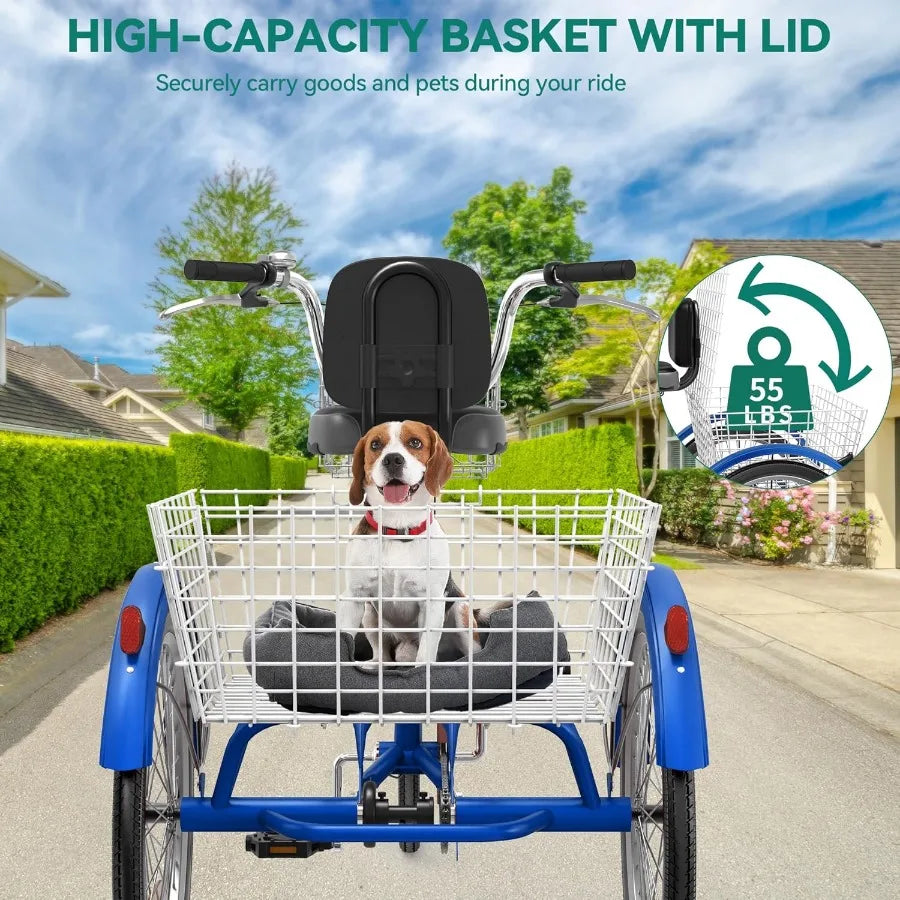Adult 3 Wheel Tricycle Bike, Cargo Bicycle with Basket S65d1a2d4e33a4d63b7401eb2f647efd74.jpg_960x960_bd389974-7271-4d9e-91e8-801a2c934da7