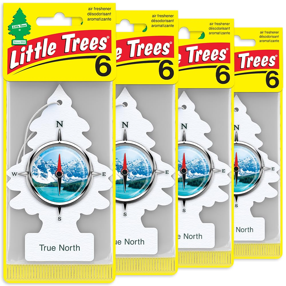 LITTLE TREES Car Air Freshener - Black Ice (24 Pack) | Long-Lasting Hanging Tree Scent for Car & Home True North SKU_12