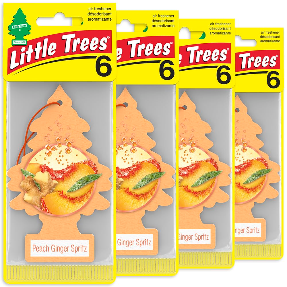 LITTLE TREES Car Air Freshener - Black Ice (24 Pack) | Long-Lasting Hanging Tree Scent for Car & Home Peach Ginger Spritz SKU_19