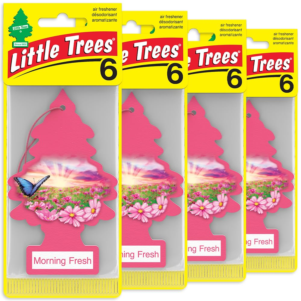LITTLE TREES Car Air Freshener - Black Ice (24 Pack) | Long-Lasting Hanging Tree Scent for Car & Home Morning Fresh SKU_24