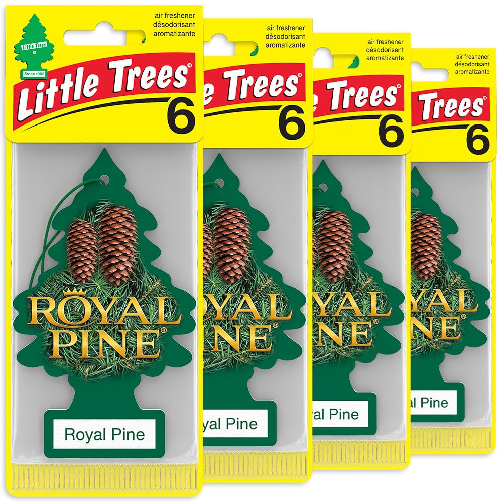 LITTLE TREES Car Air Freshener - Black Ice (24 Pack) | Long-Lasting Hanging Tree Scent for Car & Home Royal Pine SKU_32