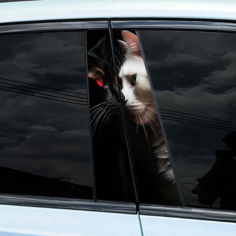2pcs Auto B-Pillar Car Stickers, Cool Cat Cat-017 download-2024-10-30T171717.420