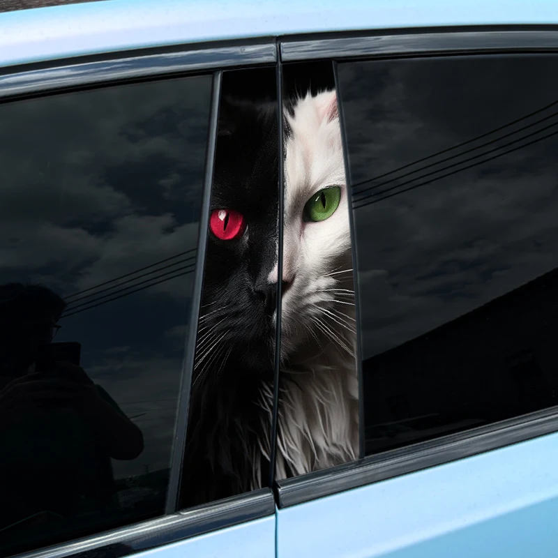 2pcs Auto B-Pillar Car Stickers, Cool Cat Cat-014 download_-_2024-10-30T171724.605